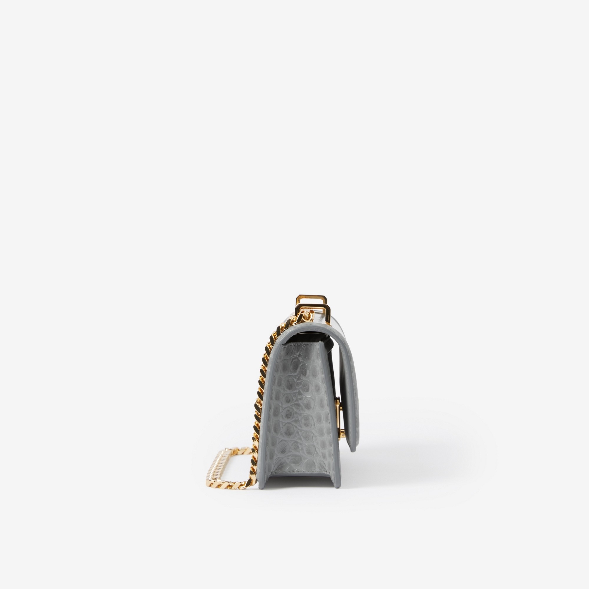Embossed Leather Mini Chain TB Bag - 2