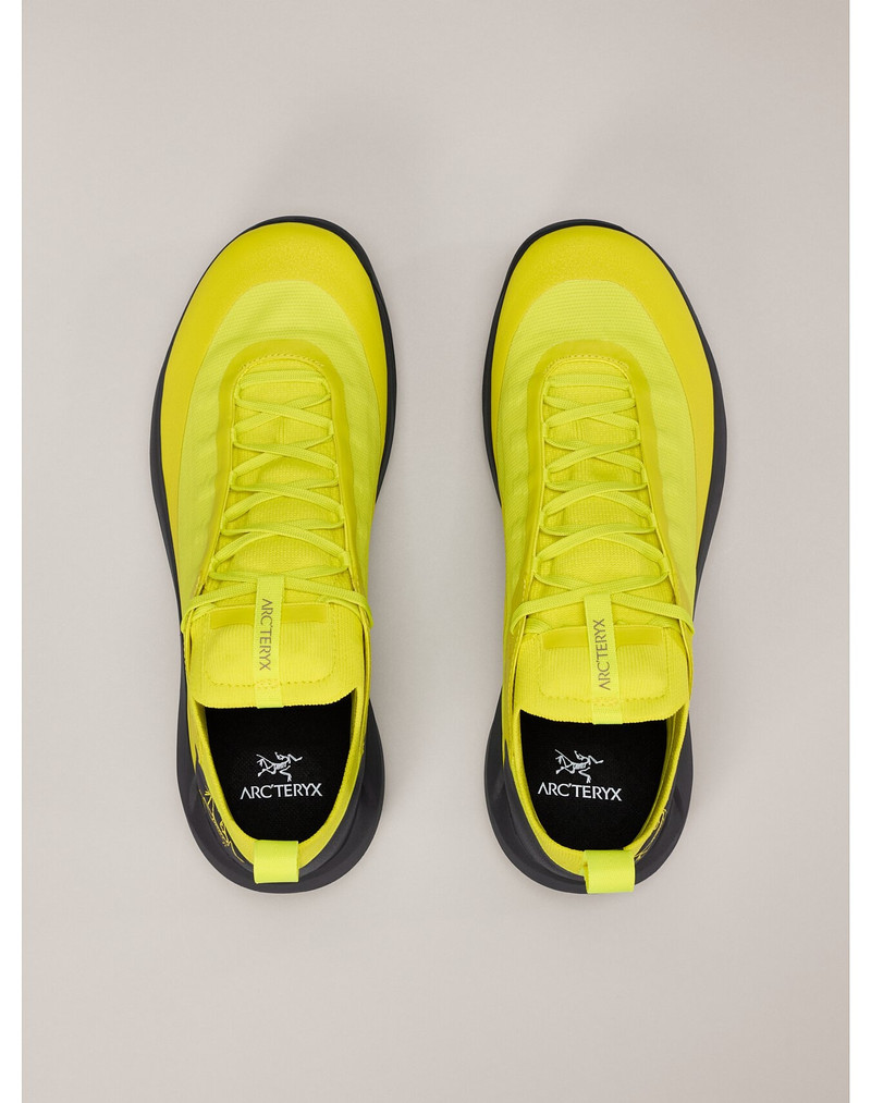 Vertex Alpine GTX Shoe 3