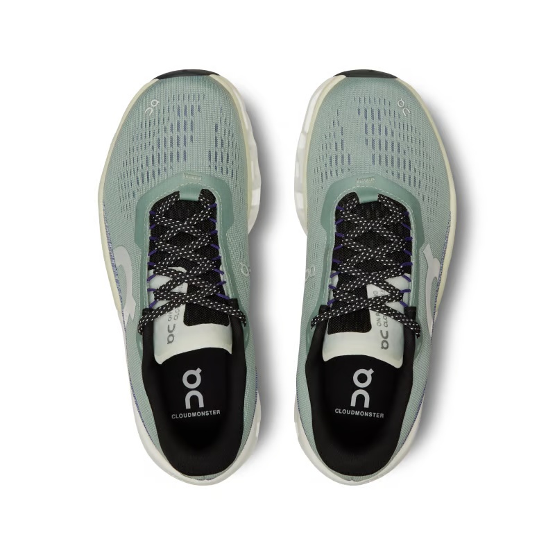 (WMNS) On Running Cloudmonster 2 'Mineral Aloe' 3WE10112078 - 4