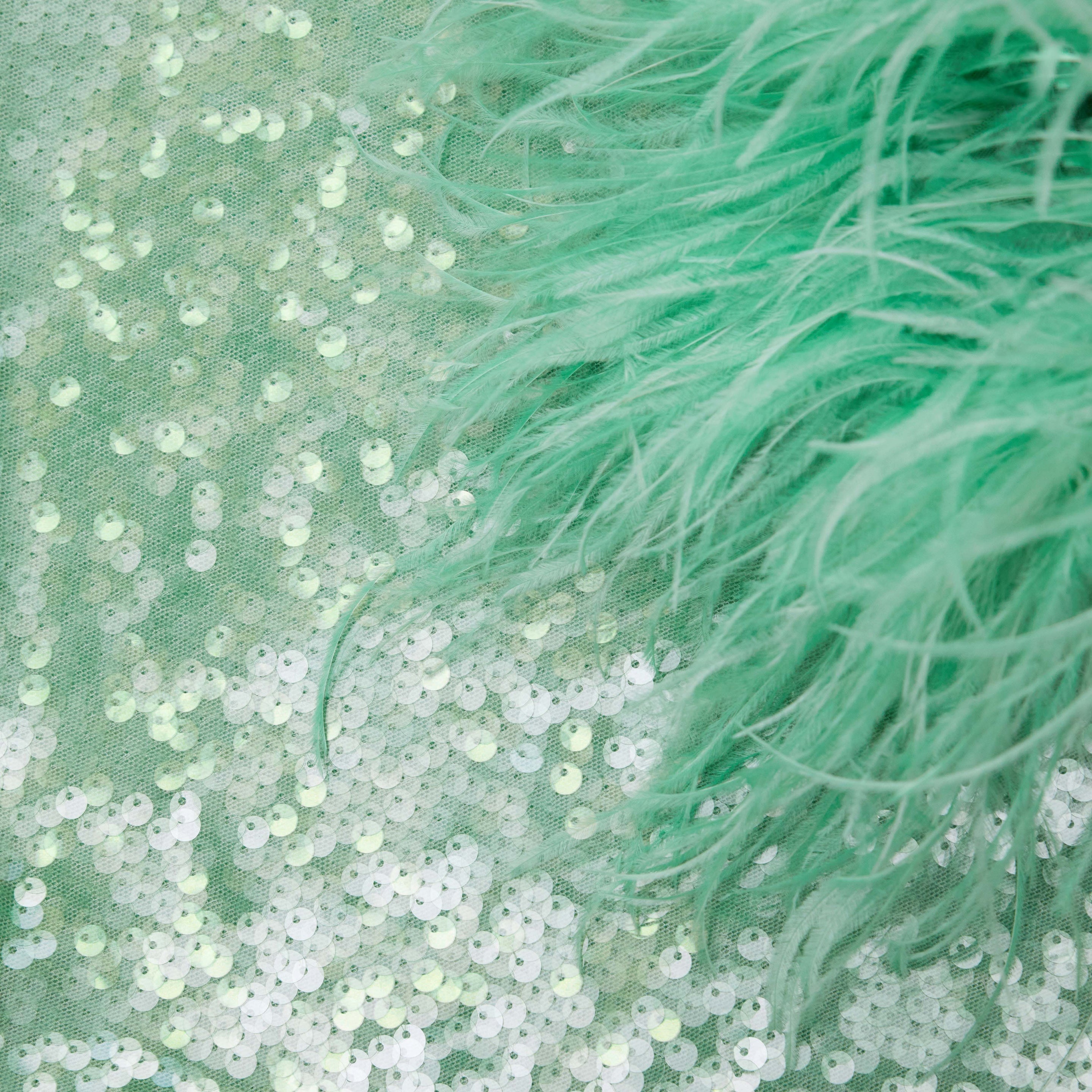 Mint Sequin Feather Top - 5
