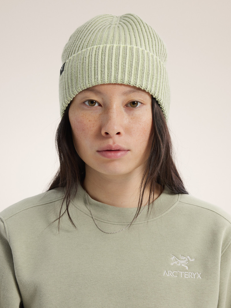 Arc'teryx Ribbed Toque outlook