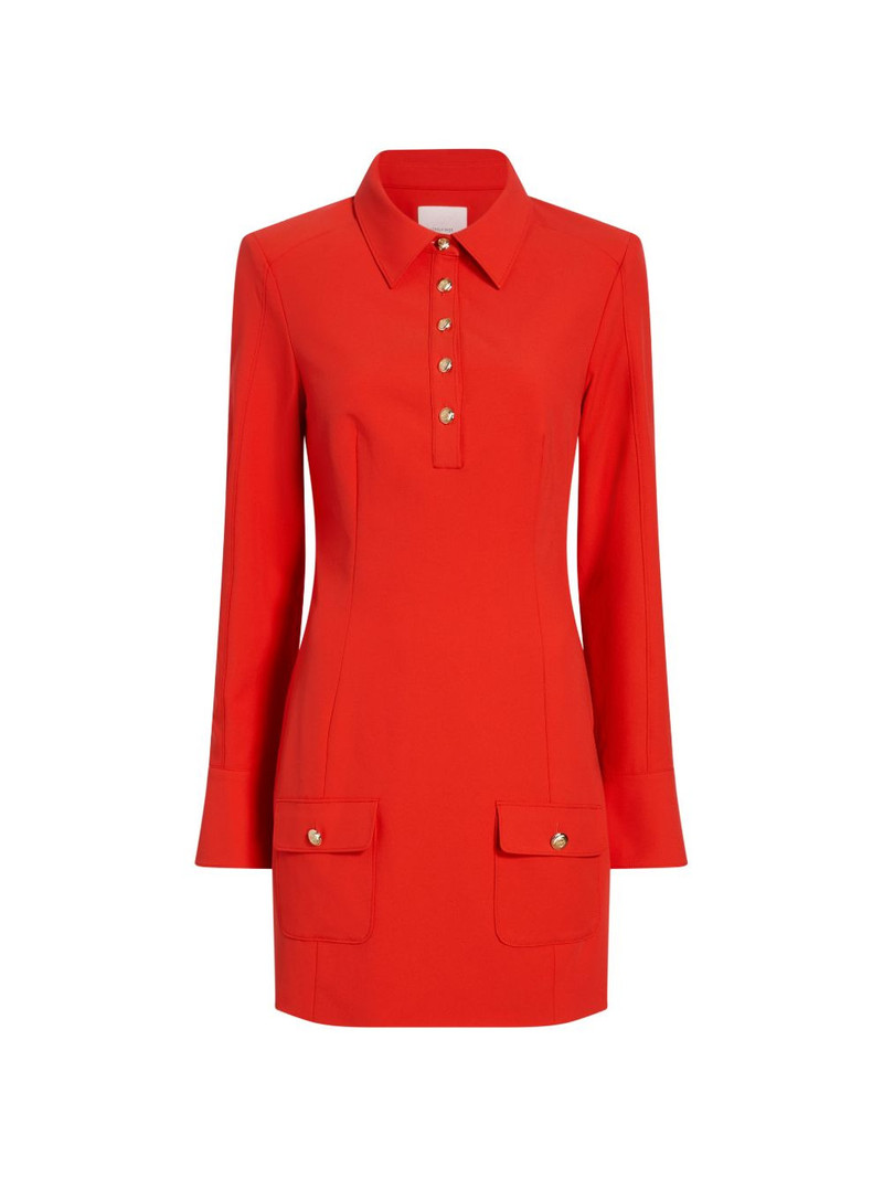 Lea collared mini dress 1