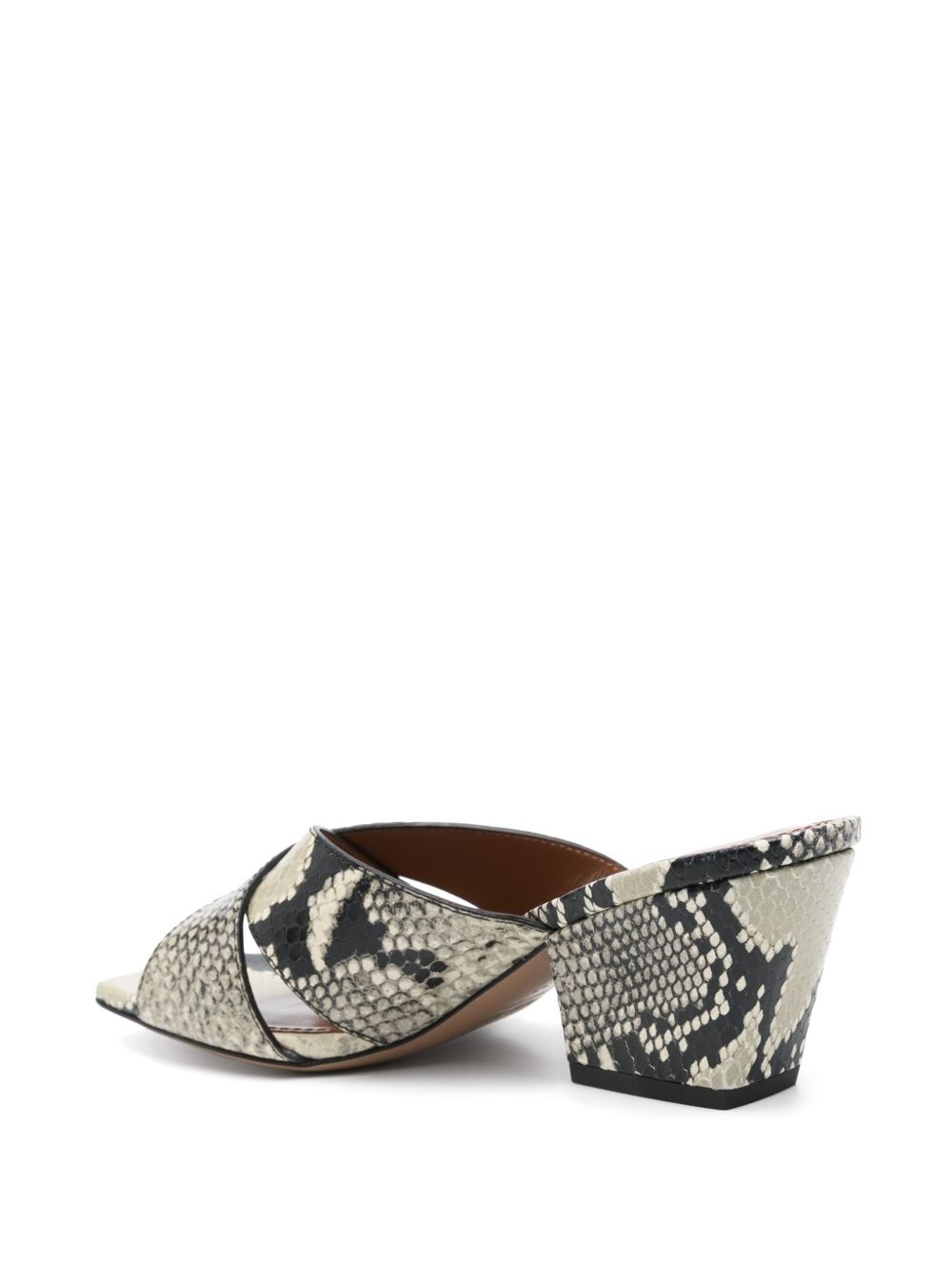 60mm Arizona mules - 3
