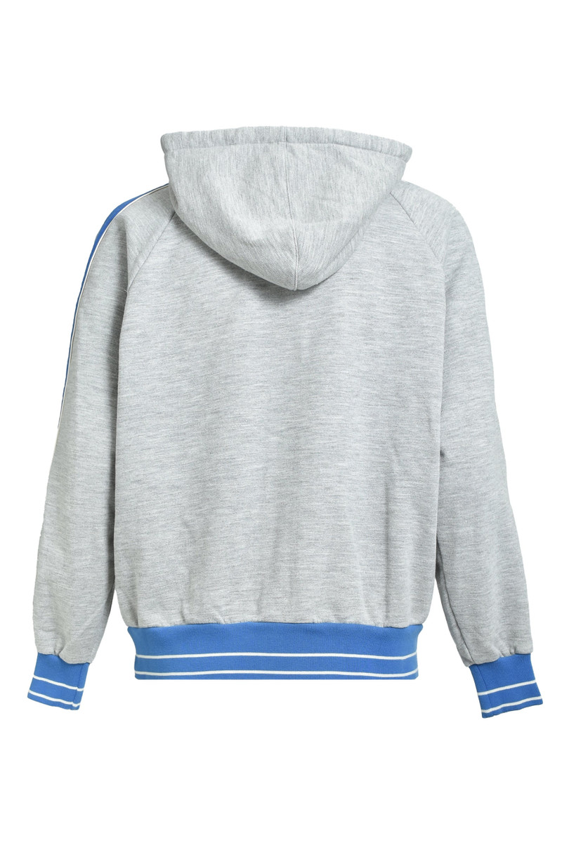 SAINT M×××××× ZIP HOODIE/SIDE LINE / GRY outlook