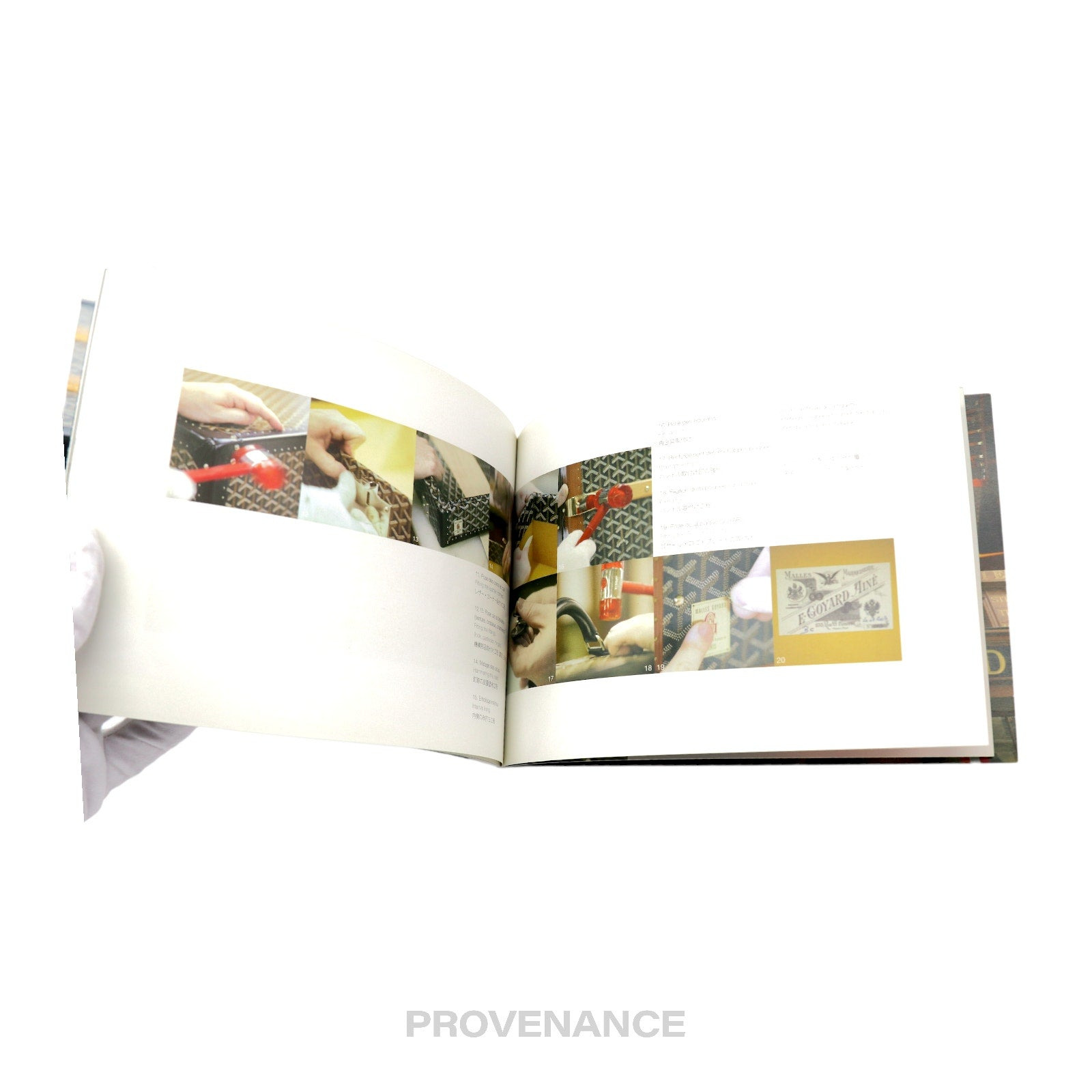 Goyard Book - 6