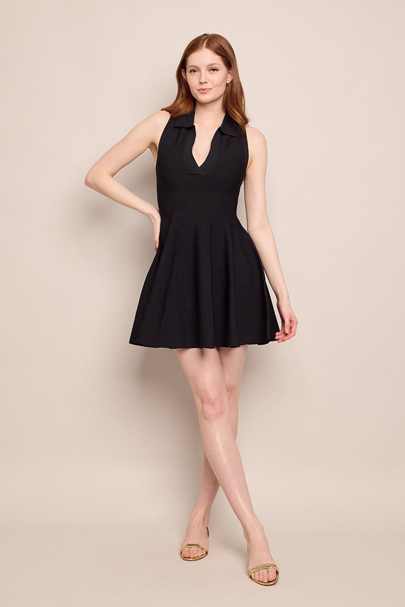 Cara Cara Braylee Mini Dress
A Power Mini with a Flared Twist outlook