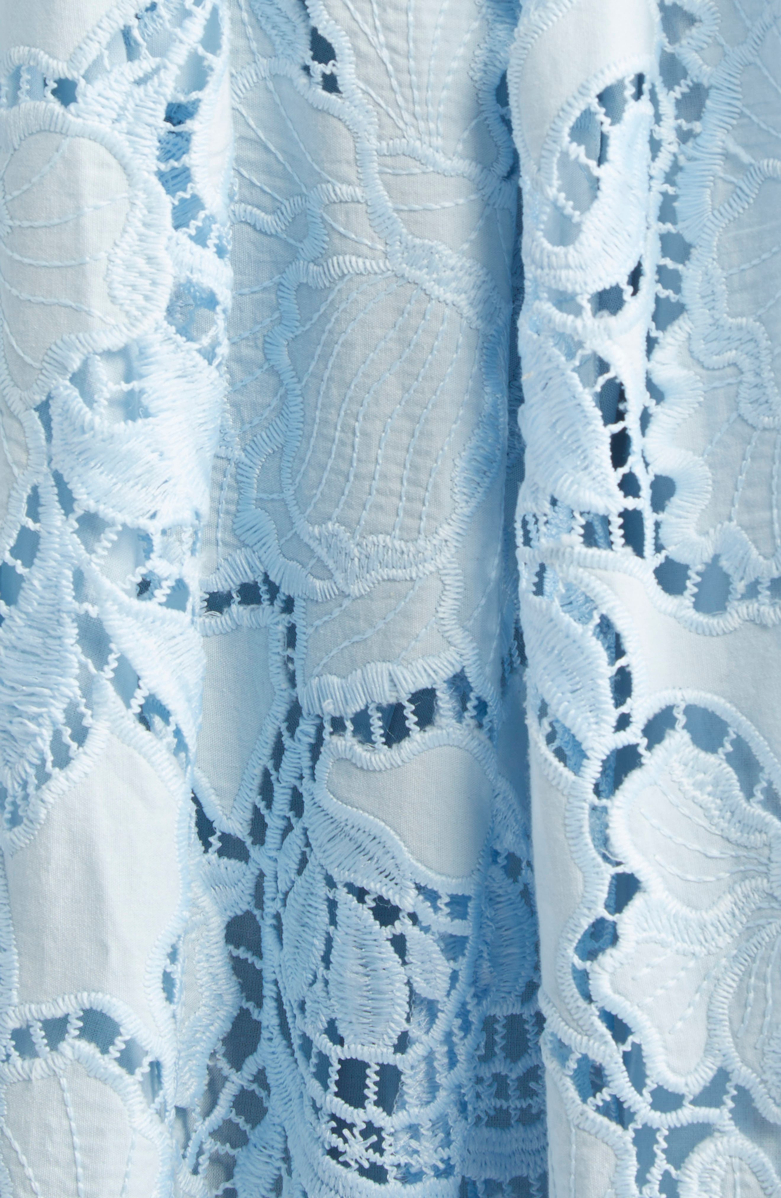 Erdem Cutwork Embroidered Dress in Dream Blue at Nordstrom - 6