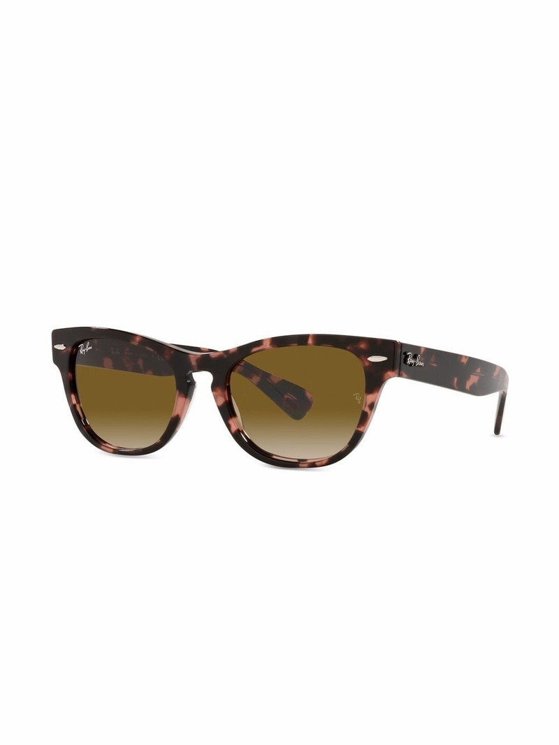 Ray-Ban RB2201 cat-eye frame sunglasses outlook