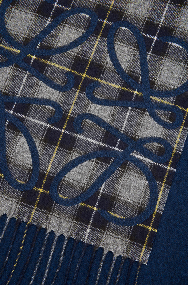 Anagram scarf in silk and cashmere 5