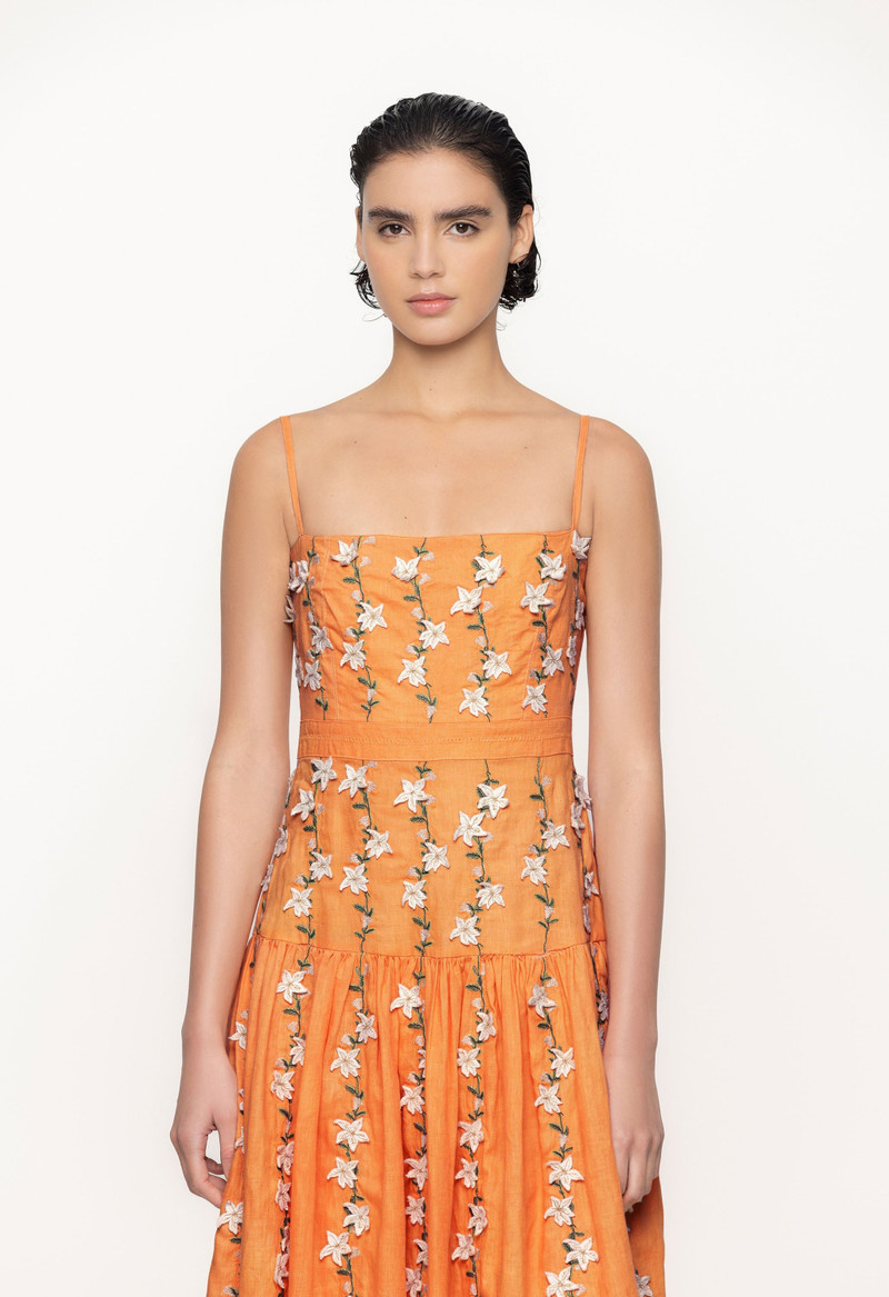 Lima Sabanero Dorado Maxi Dress 5