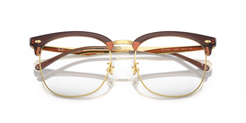 Ray-Ban RB7318D OPTICS outlook