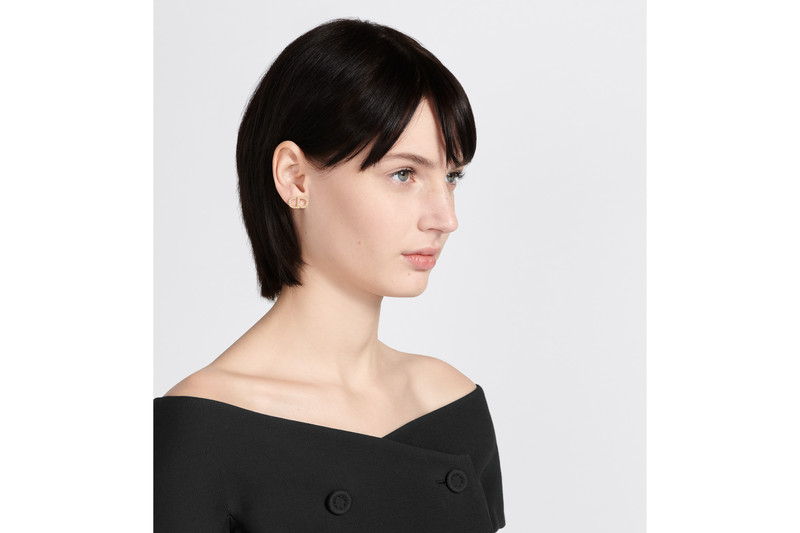 Dior Petit CD Stud Earrings outlook