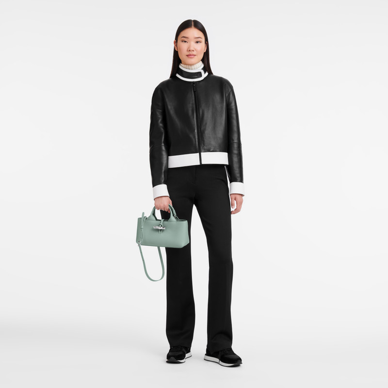 Longchamp Le Roseau S Handbag Celadon - Leather outlook