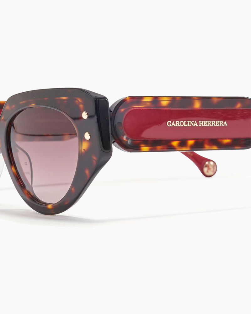 Oval Frame Sunglasses With Contrast Temples 3