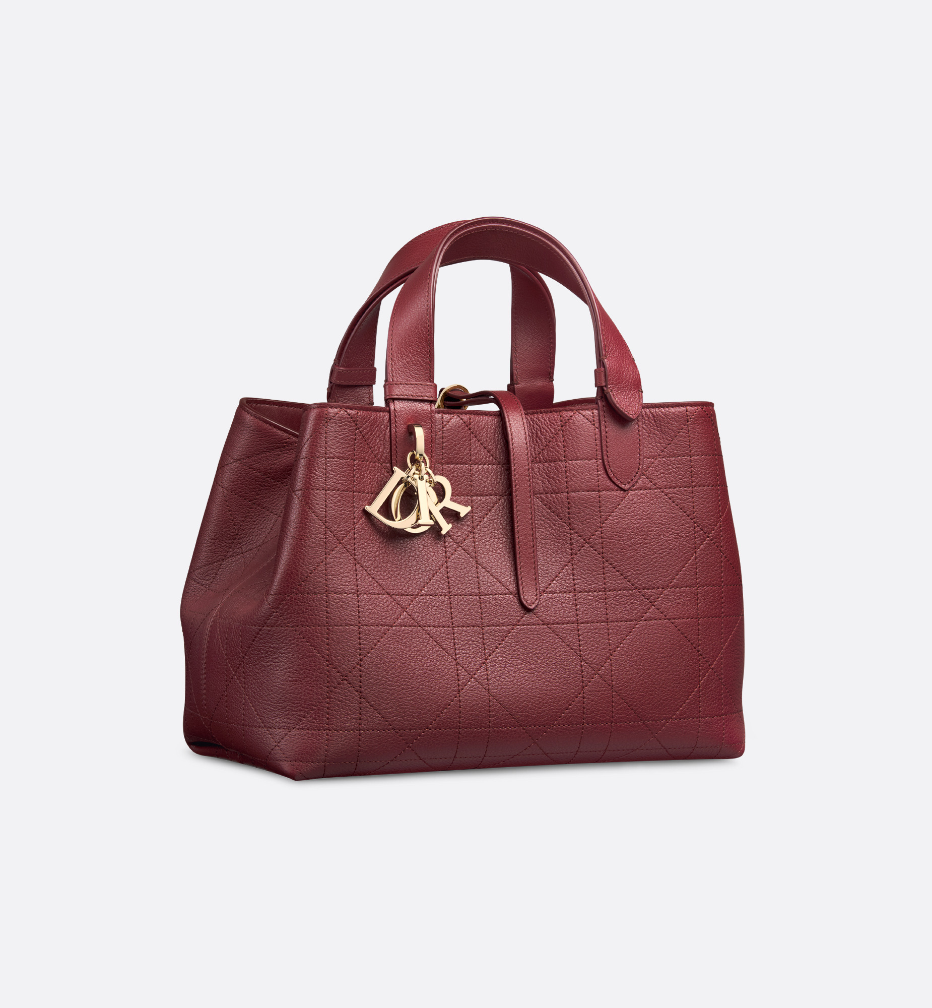 Medium Dior Toujours Bag - 1