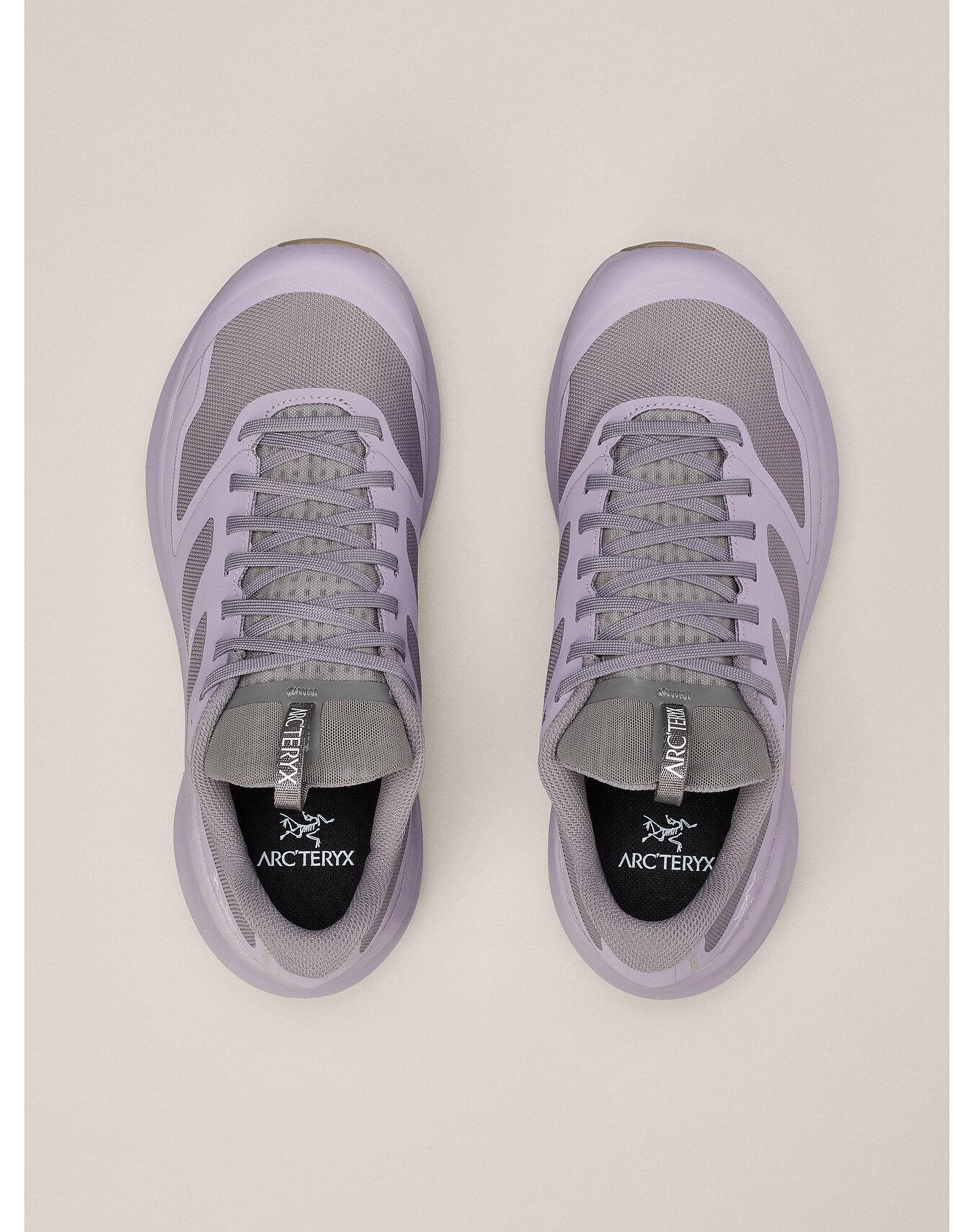 Norvan LD 3 GTX Shoe - 3