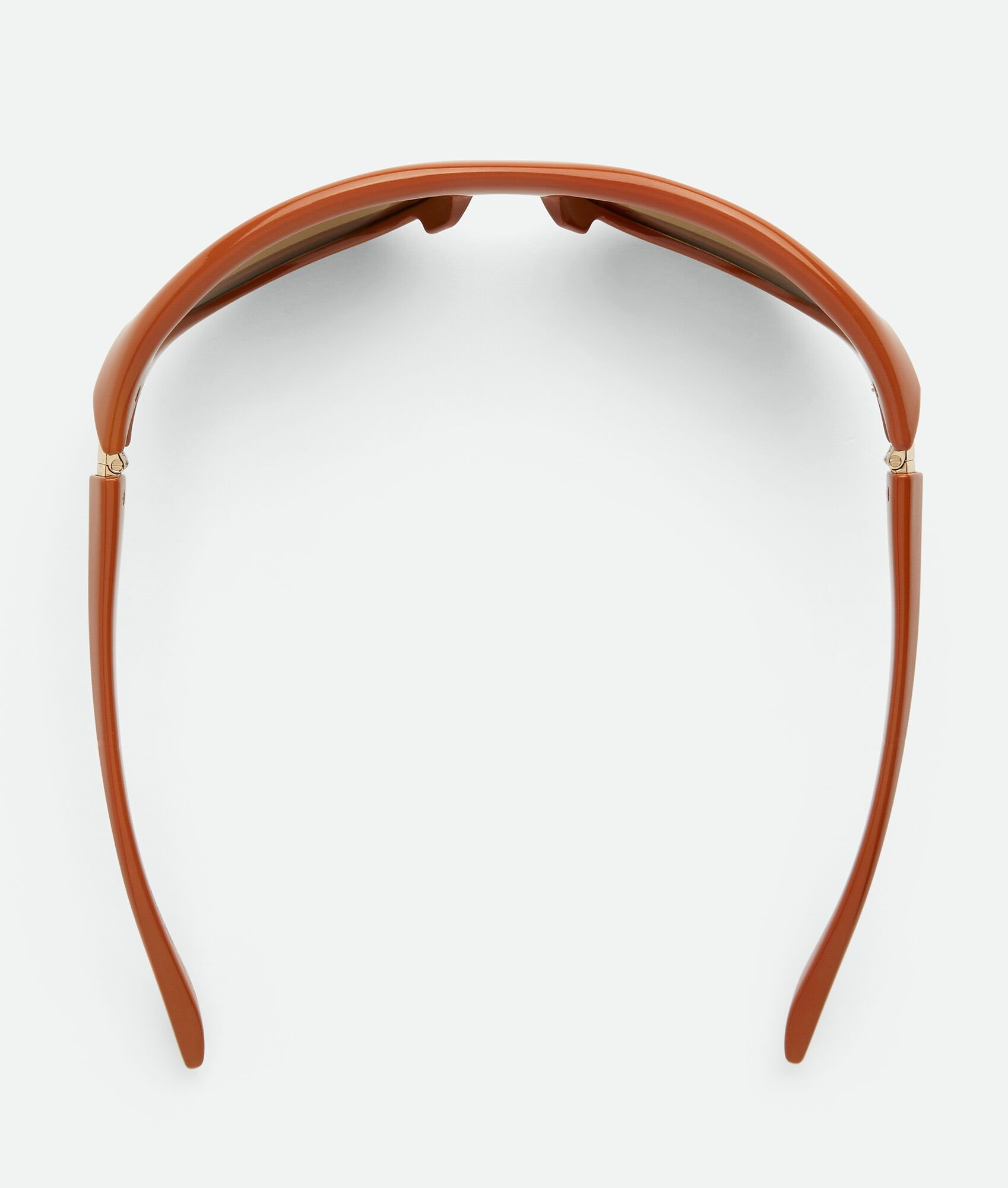 Curve Sporty Cat Eye Injected Acetate Sunglasses - 4
