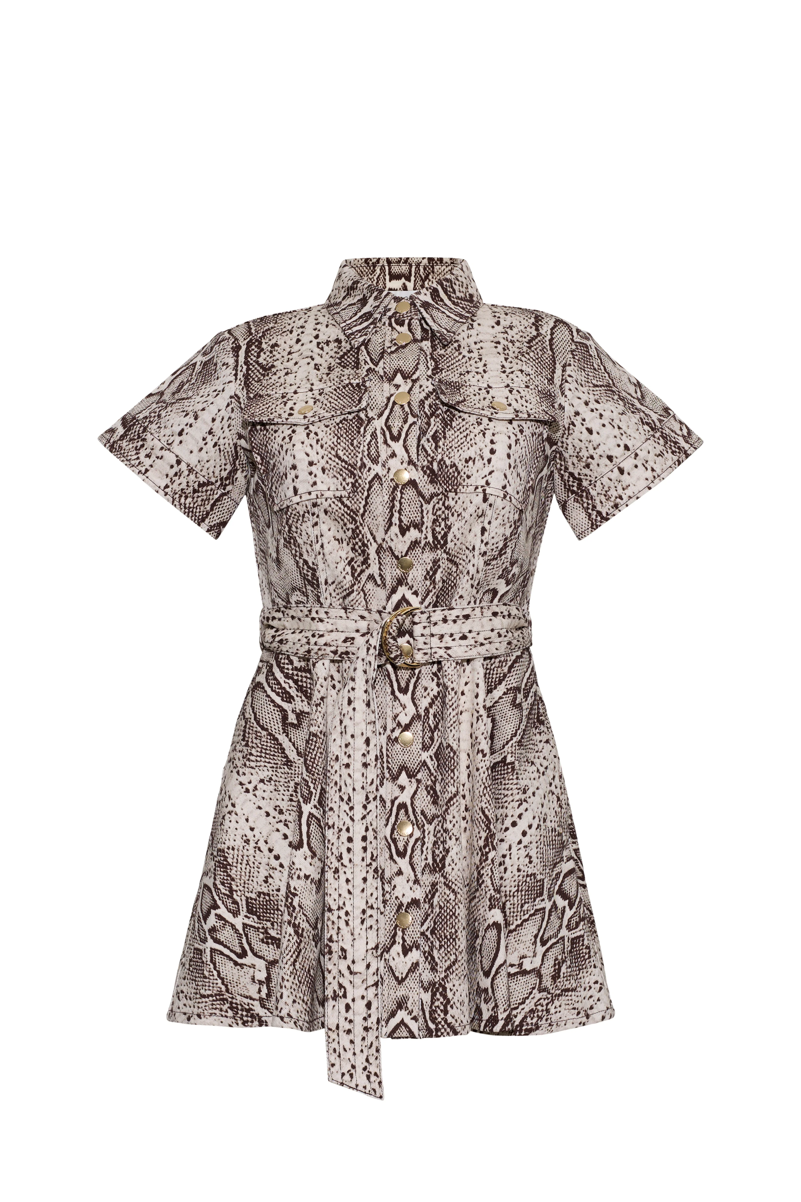 Walter Dress - 1