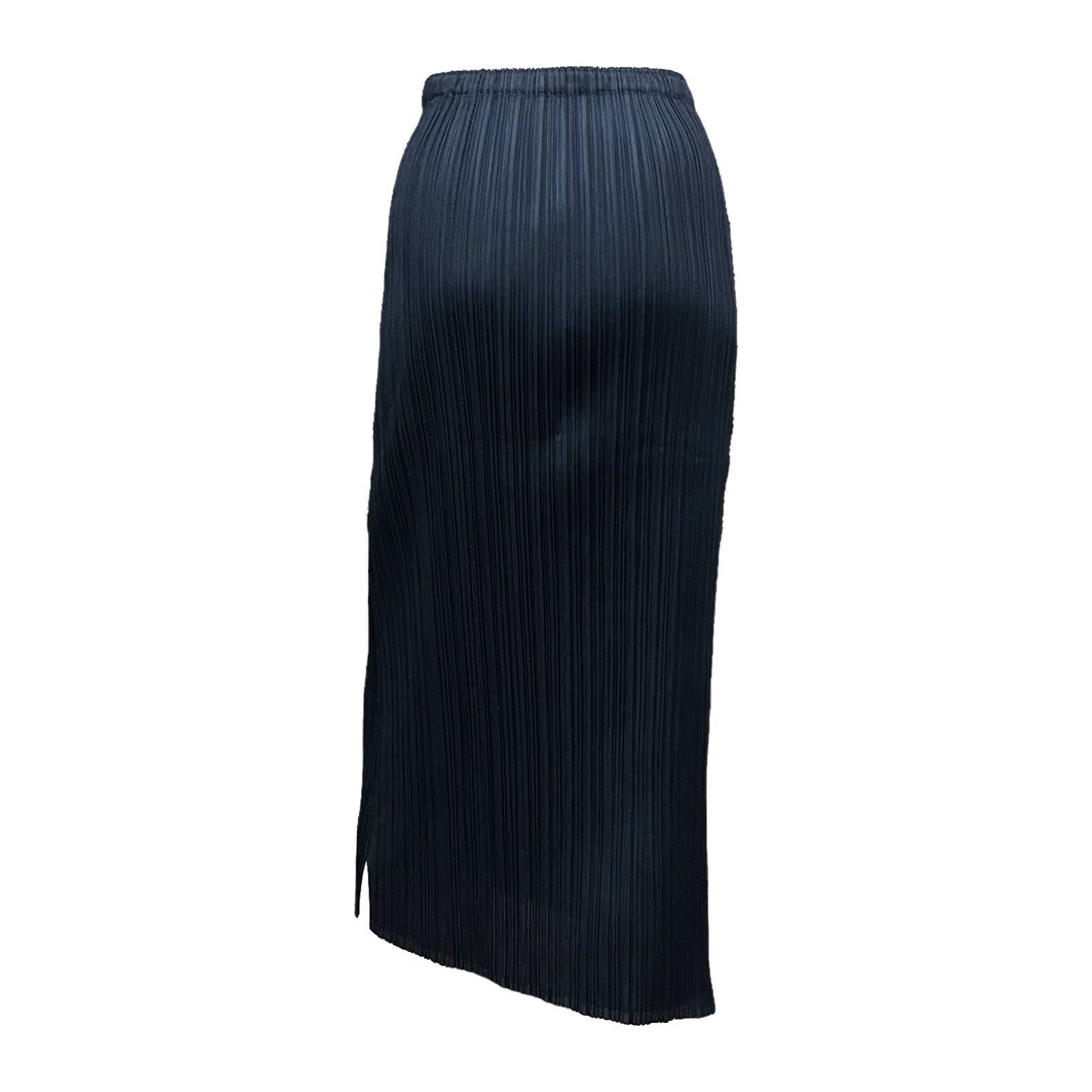 PLEATS PLEASE ISSEY MIYAKE Pleated Long Skirt - 2