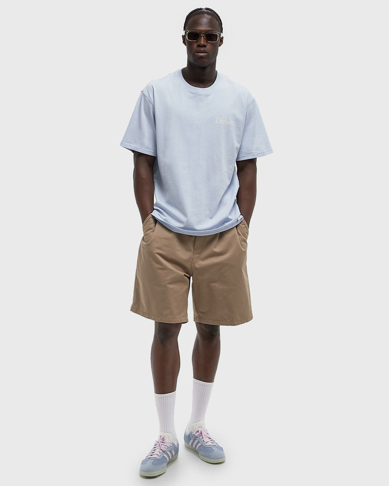 Carhartt Marv Short outlook