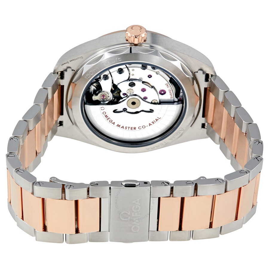 Omega Seamaster Aqua Terra Automatic Men's Watch 220.20.41.21.06.001 - 3
