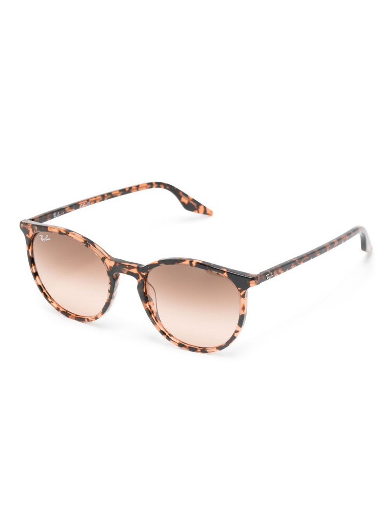 Ray-Ban RB2203 선글라스 outlook
