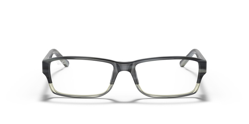 RB5169 OPTICS 4
