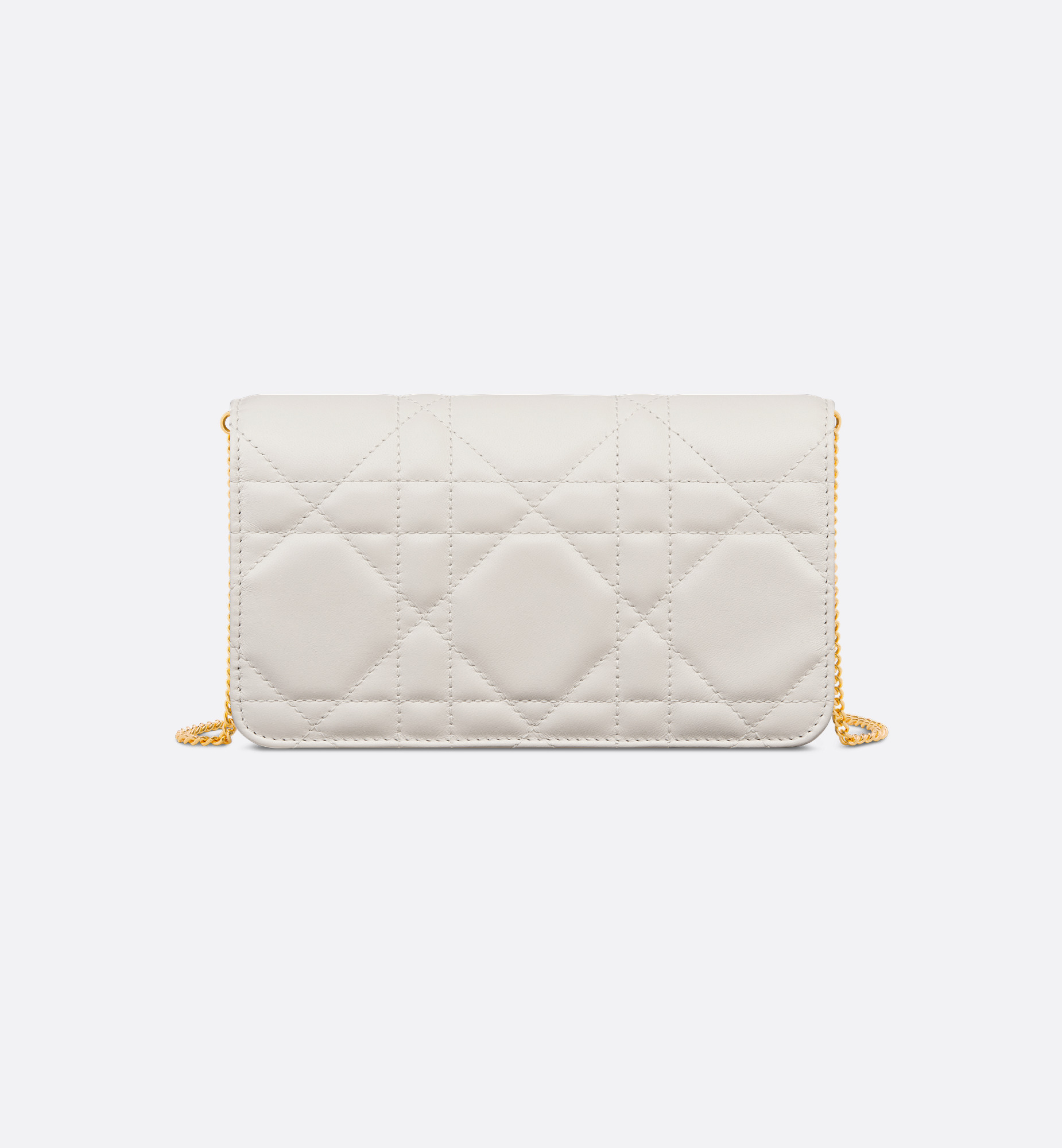 Miss Caro Pouch with Chain - 5
