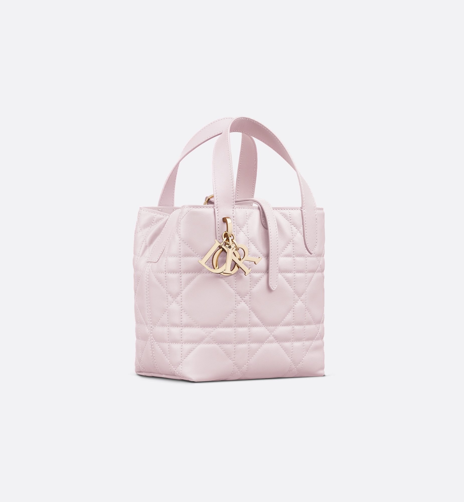 Small Dior Toujours Vertical Tote Bag - 1
