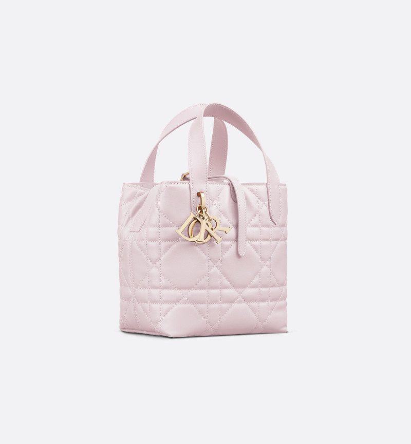 Small Dior Toujours Vertical Tote Bag 1