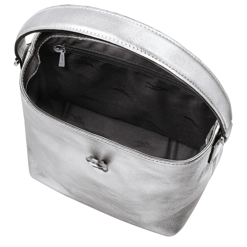 Roseau XS Bucket bag Silver - Leather 5