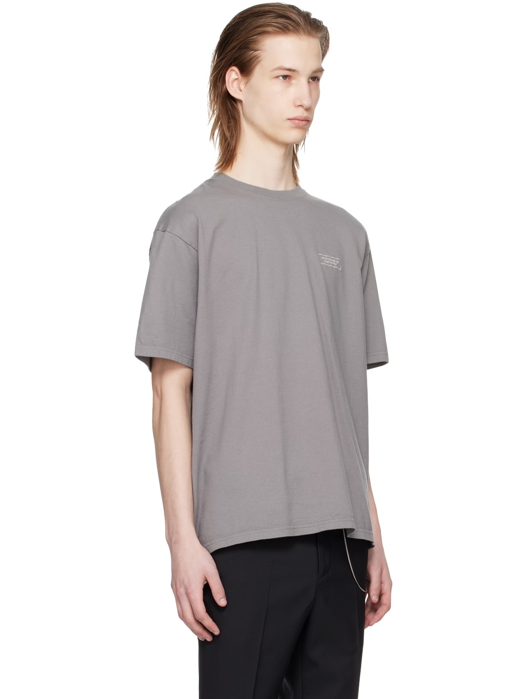 Gray Printed T-Shirt - 2