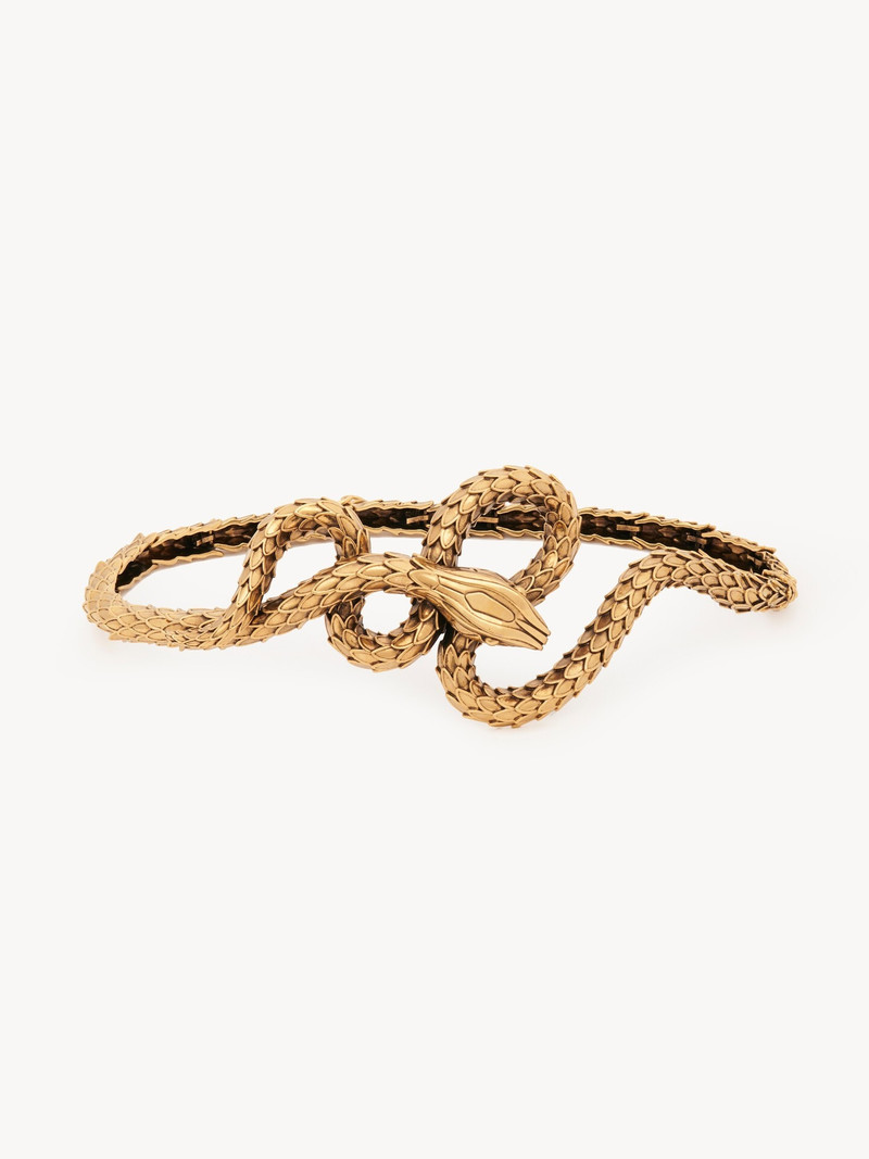 THE CHLOÉ SNAKE BELT 1
