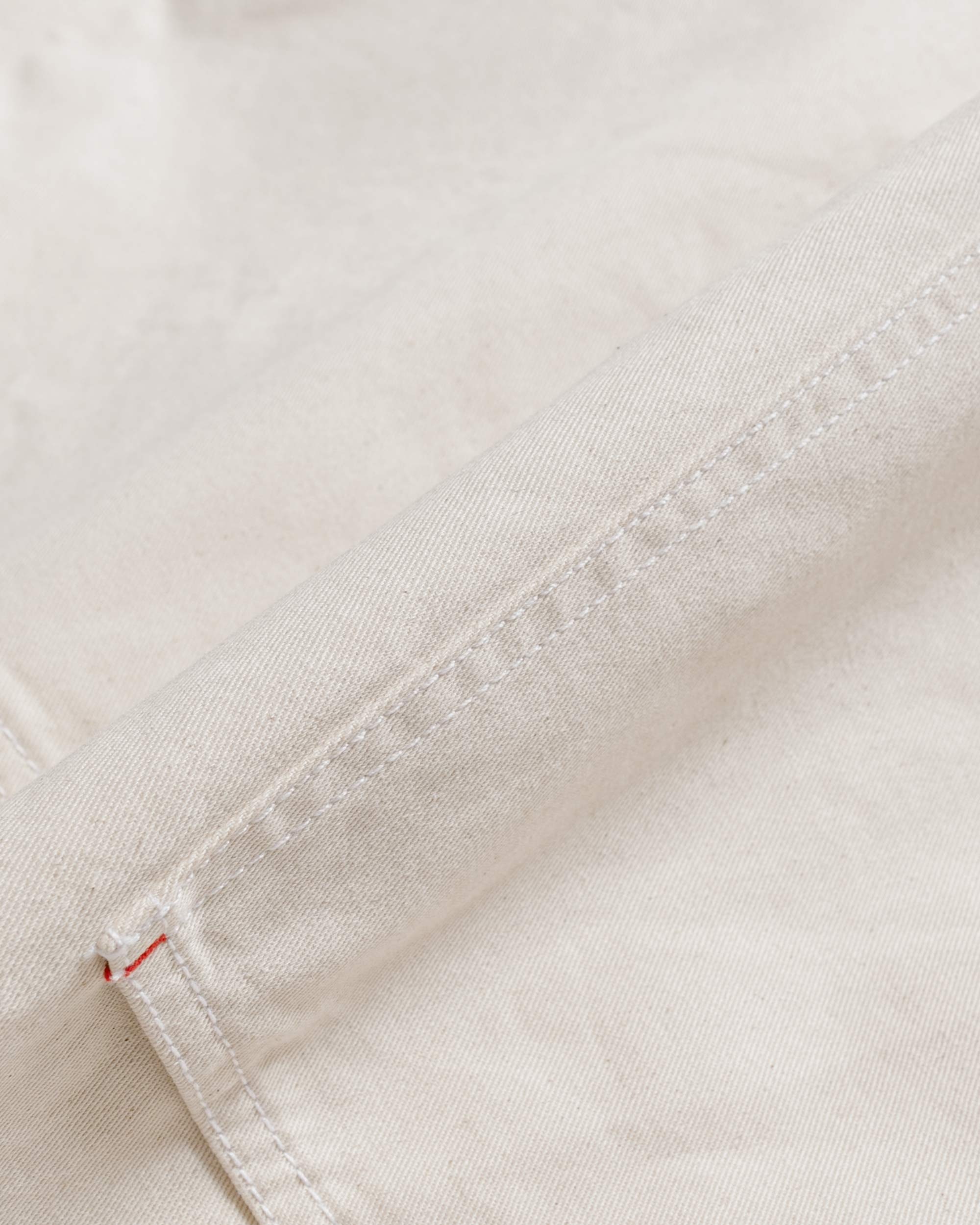 Painter Pant Natural Chino Twill - 5