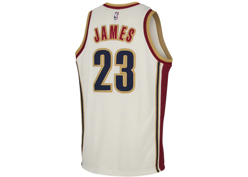 Nike Nike LeBron James Dri-FIT NBA Jersey Multicolor outlook
