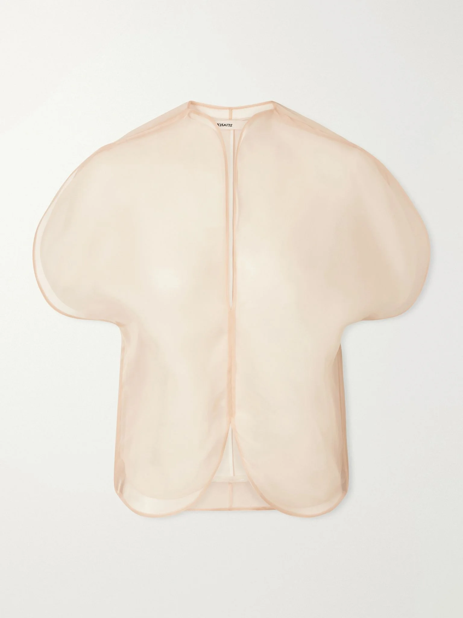 Briar silk-organza blouse Ivory - 1