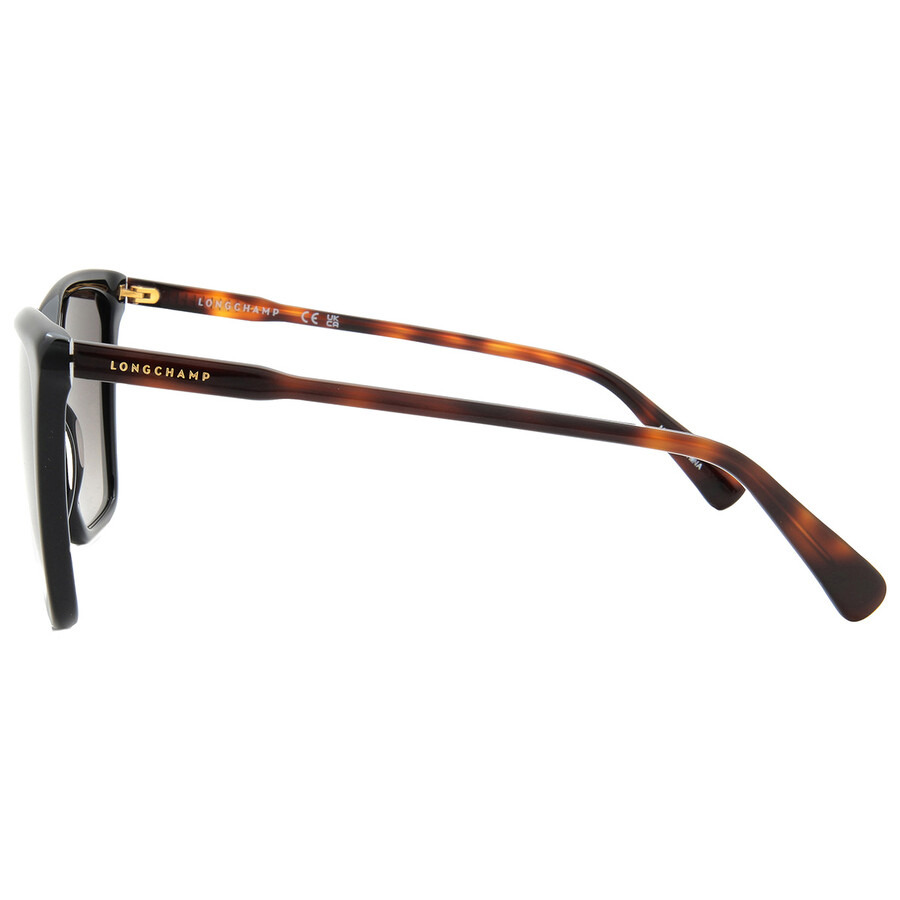 Longchamp Grey Gradient Sport Ladies Sunglasses LO719S 001 56 - 4