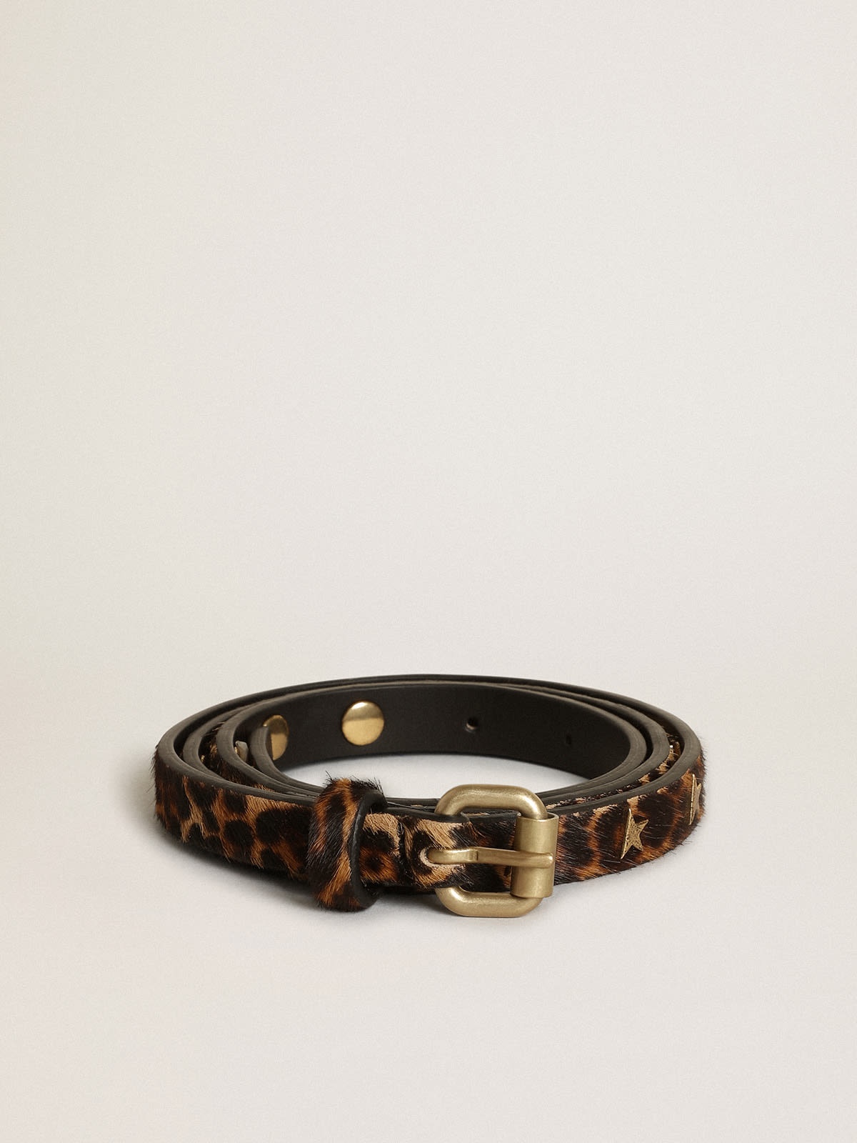 Women's belt in black and brown leopard print pony skin with studs - 1