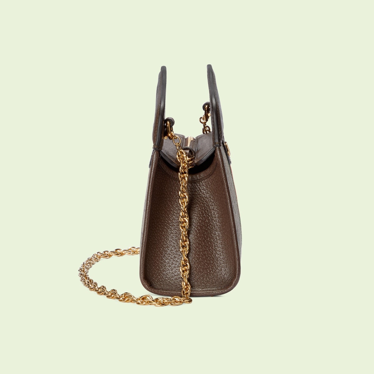 Ophidia small tote with Web - 7
