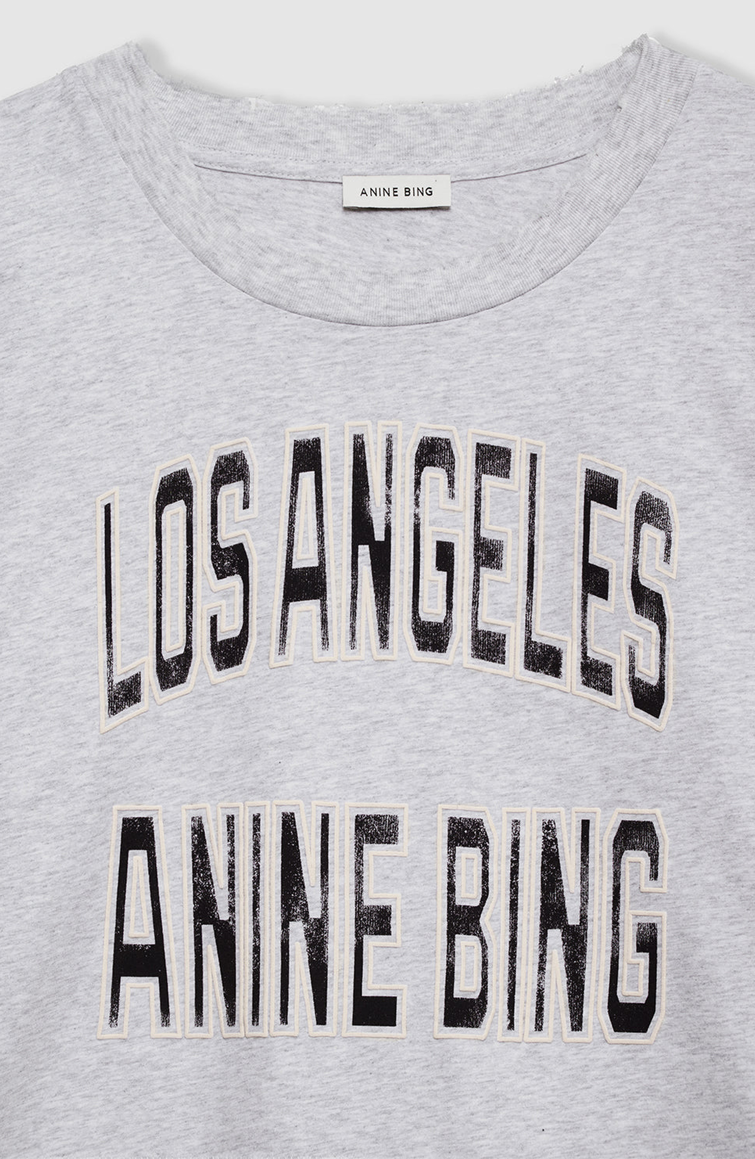 ANINE BING Johnny Cropped Tee in Grey at Nordstrom - 3