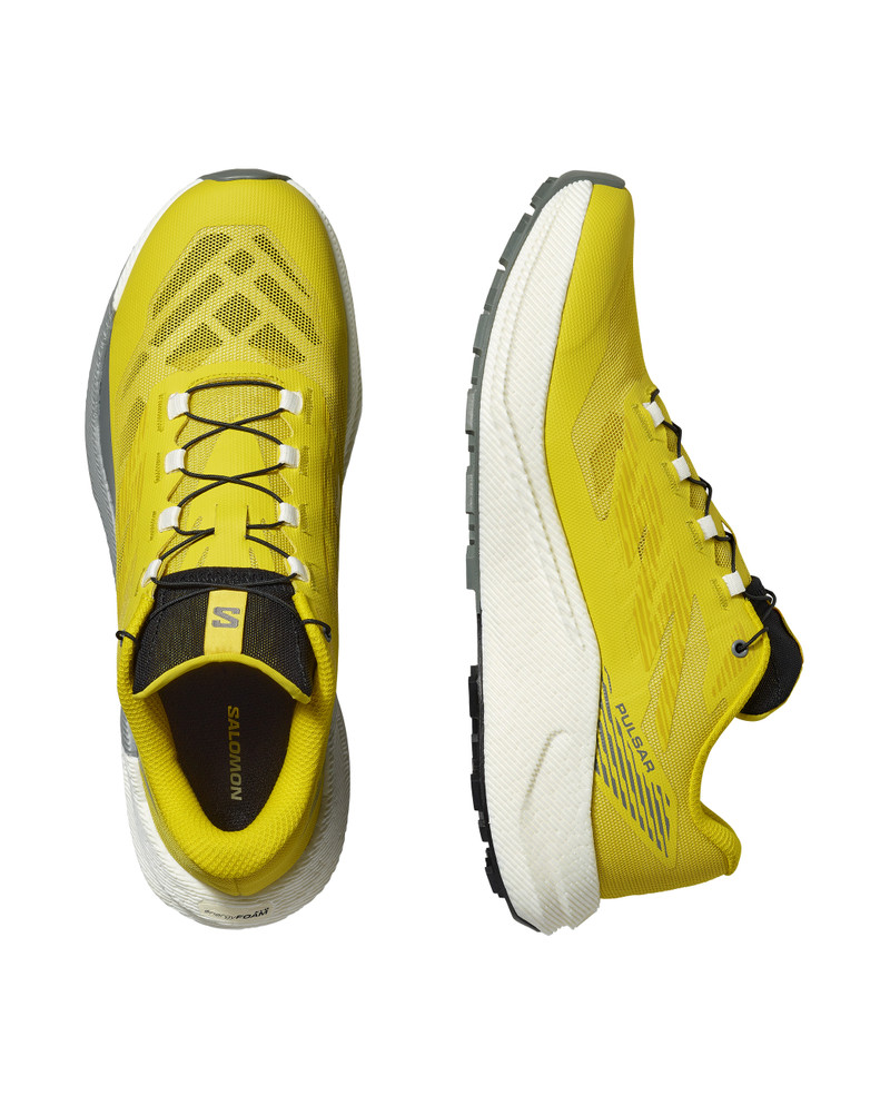 SALOMON PULSAR outlook