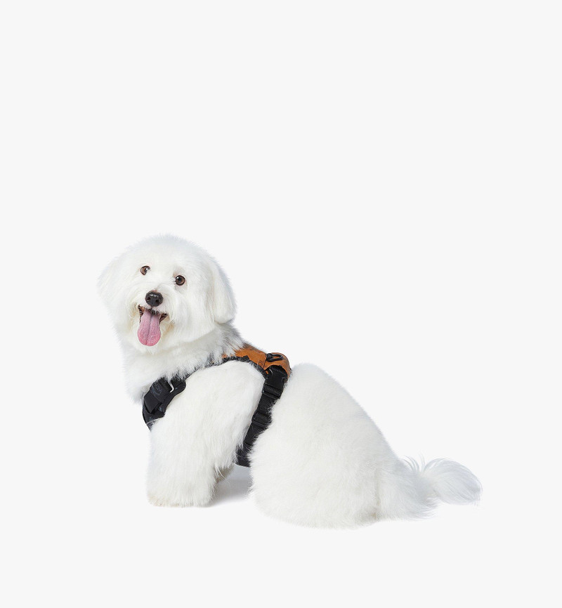 Pet Harness in Visetos 6