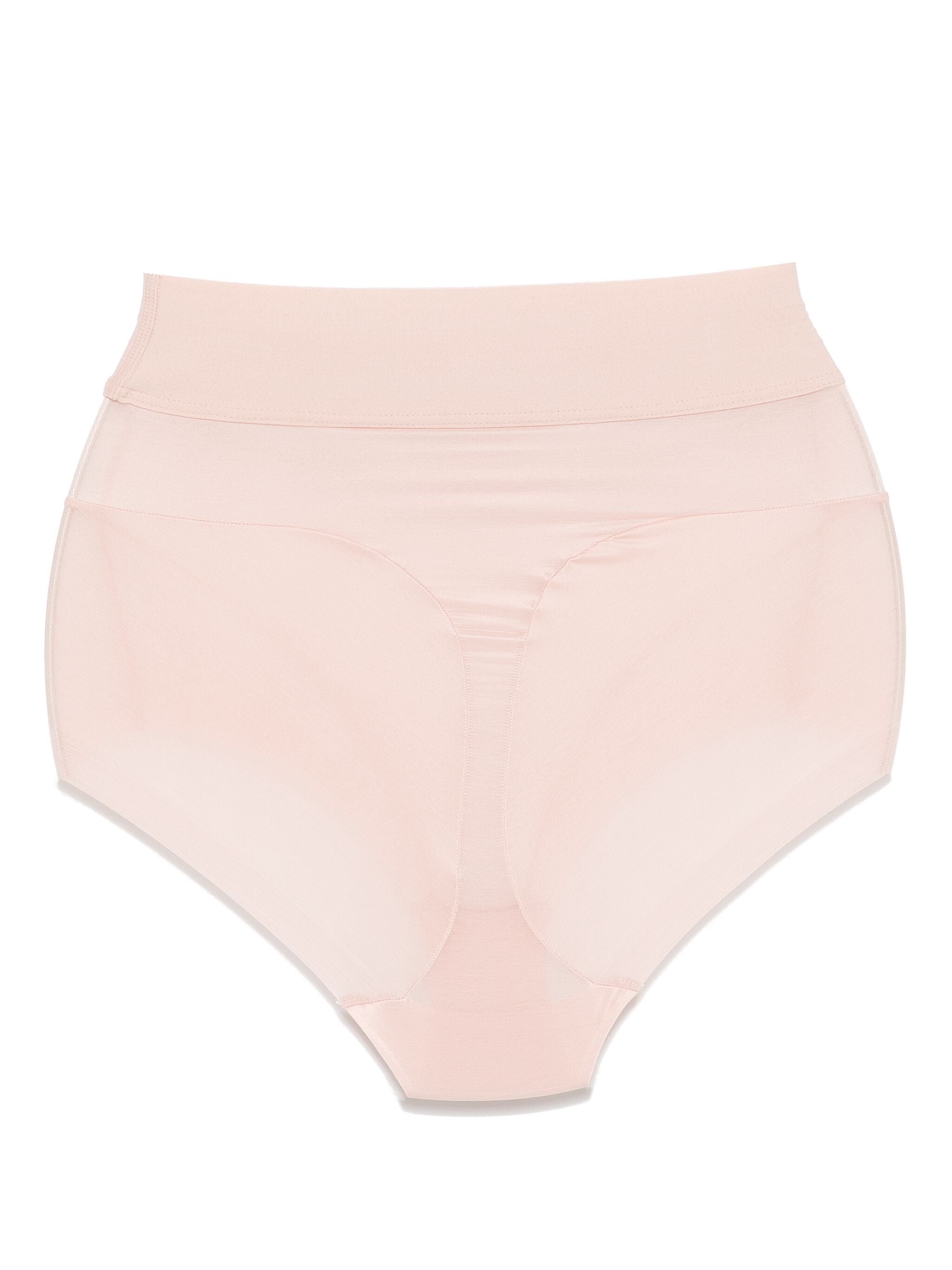 Semi-sheer Brief - 3