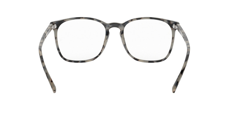 RB5387 OPTICS 4