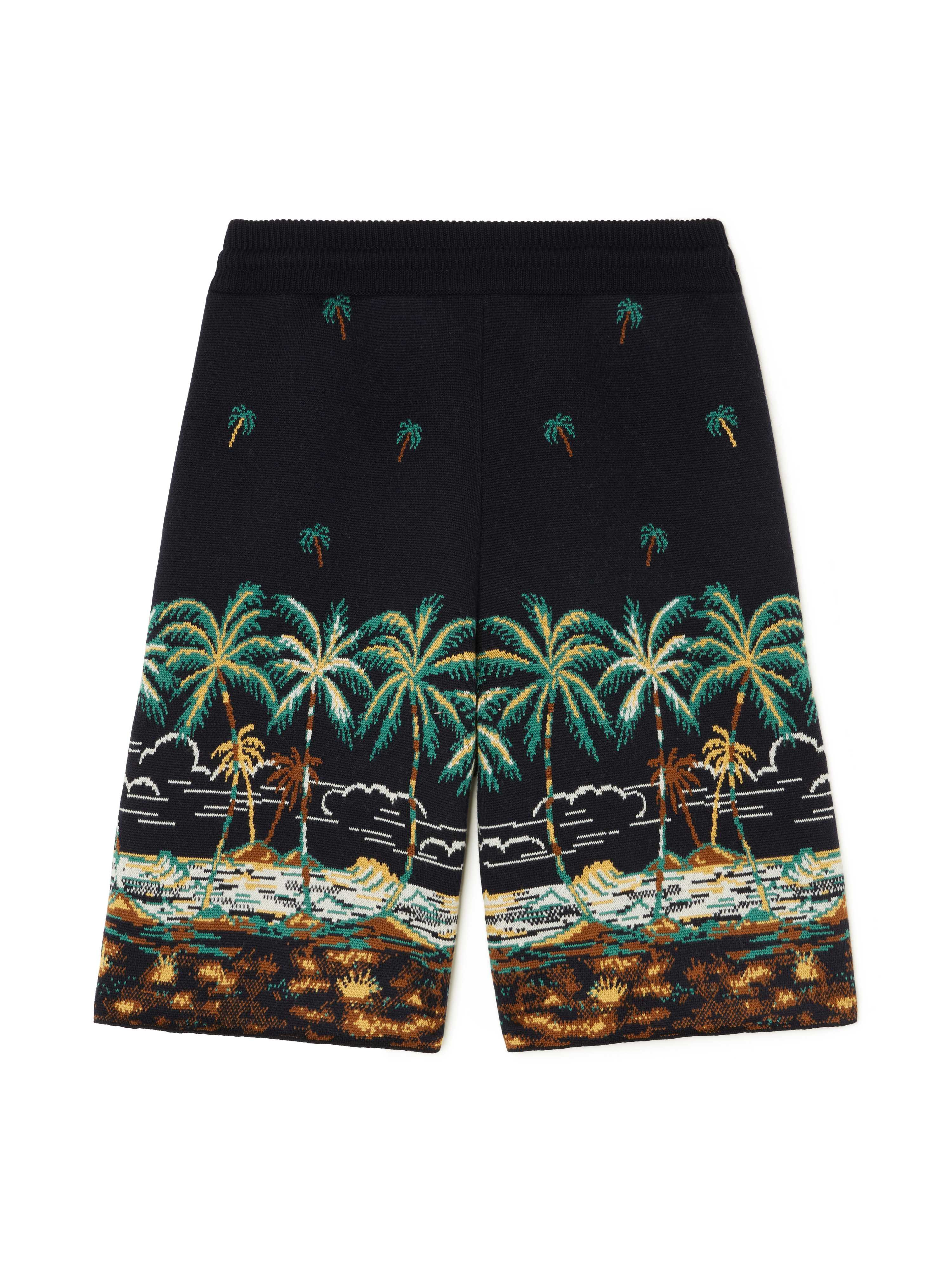 The Tale Of A Hawaiian Shorts - 3