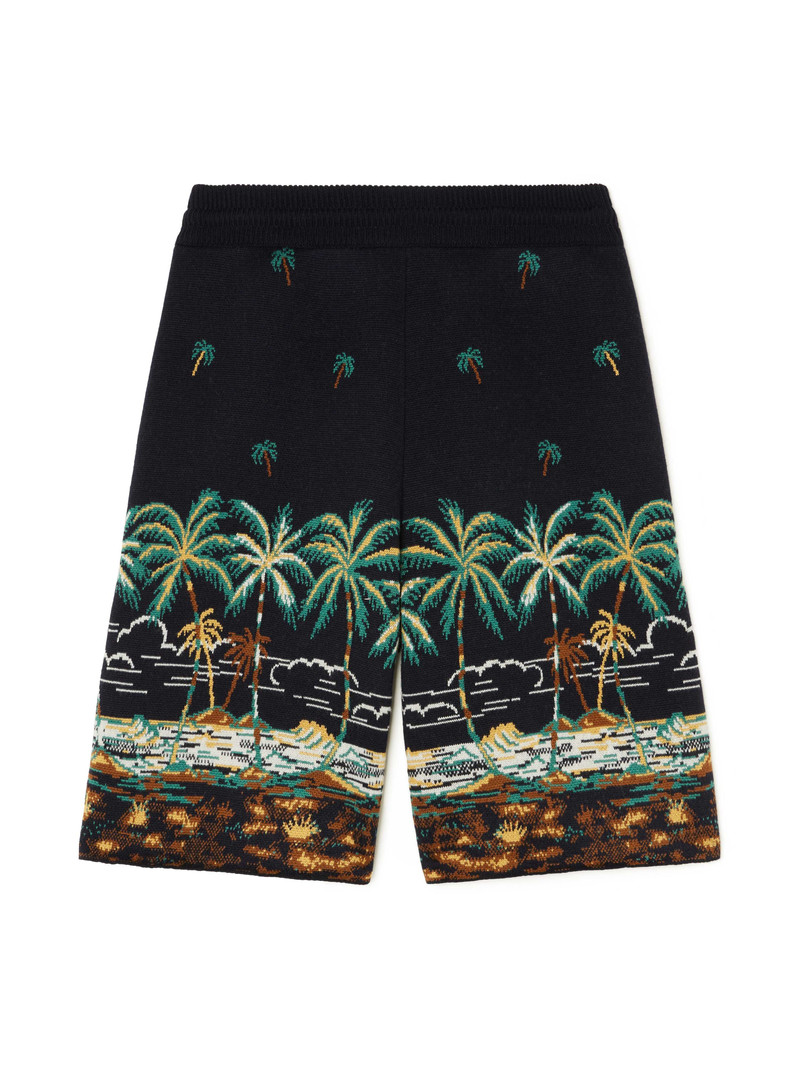 The Tale Of A Hawaiian Shorts 3