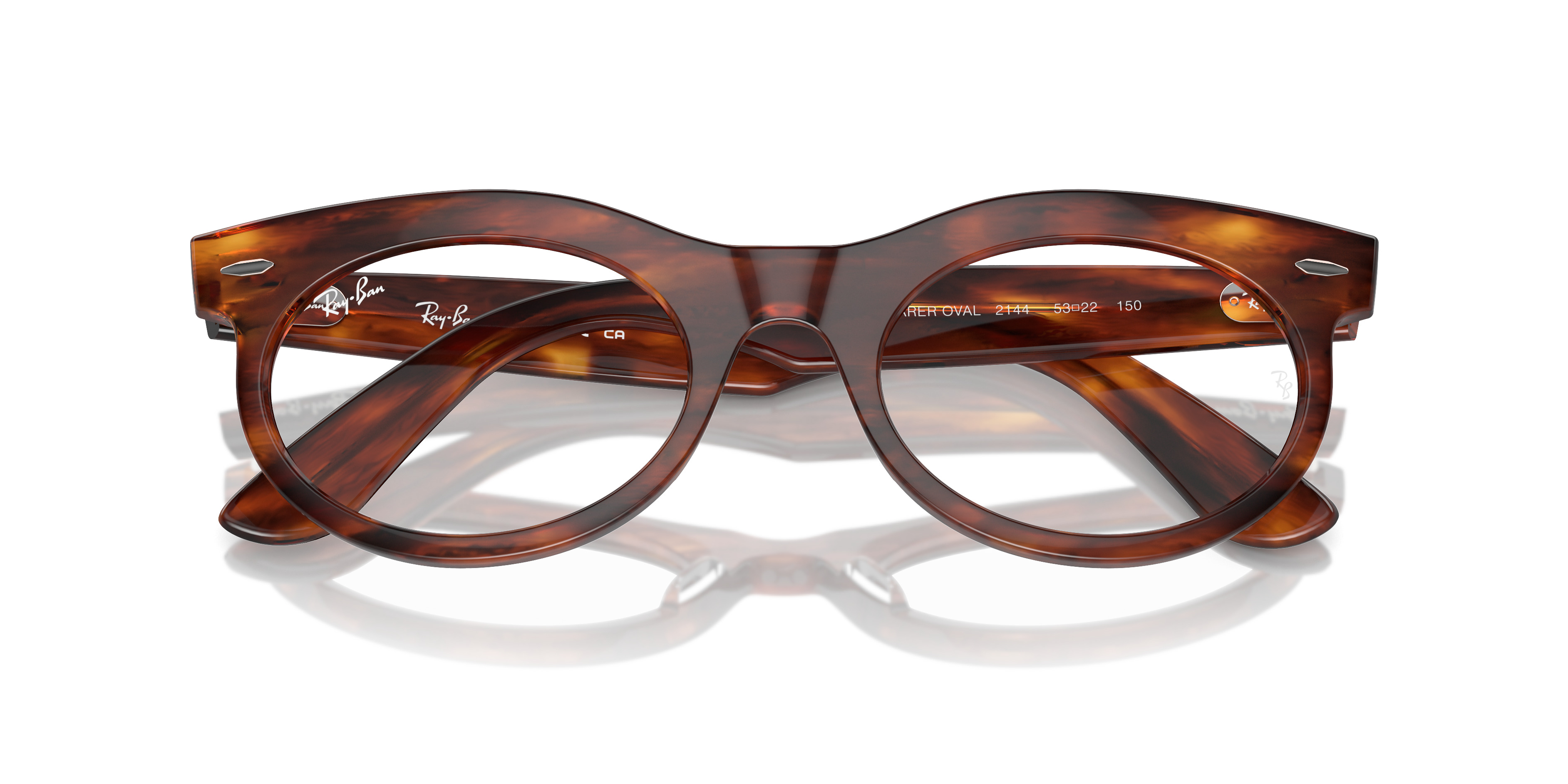 WAYFARER OVAL OPTICS - 2