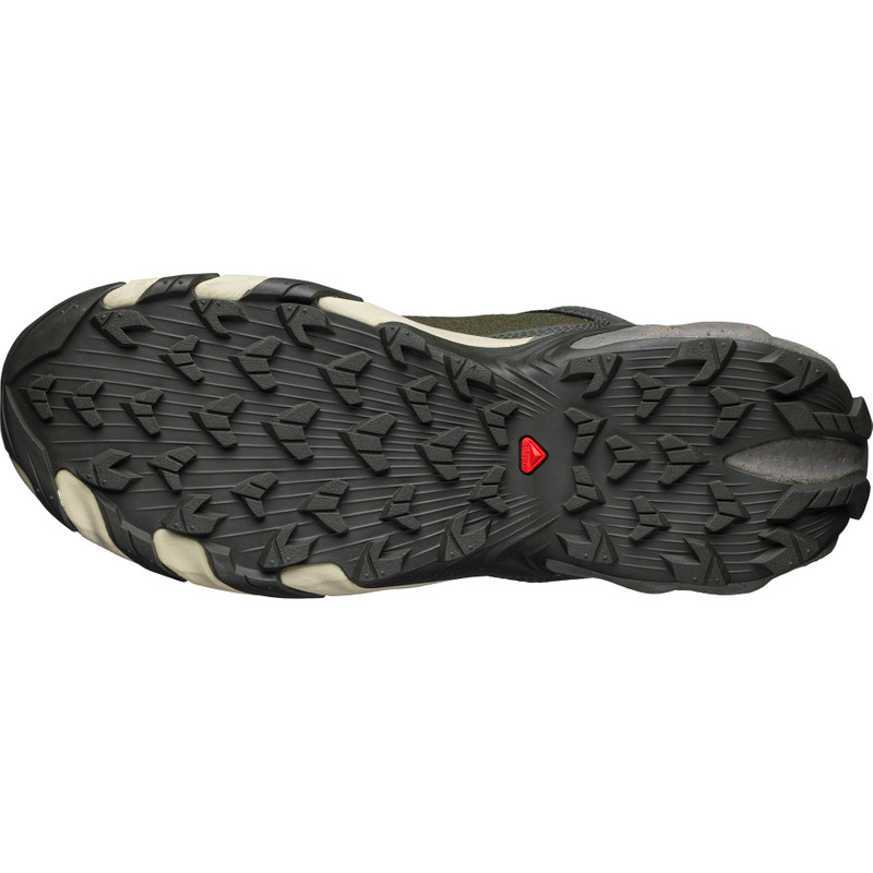 SALOMON SPEEDVERSE PRG outlook