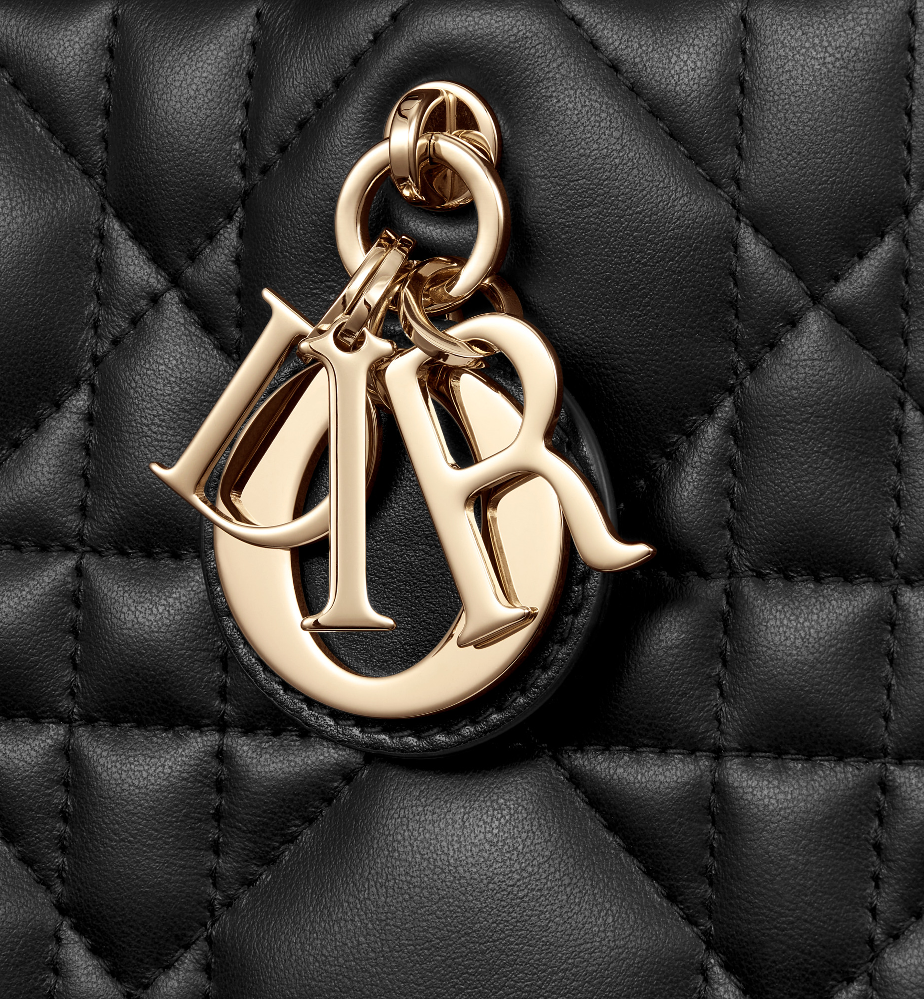 Small Dior Book Tote - 7