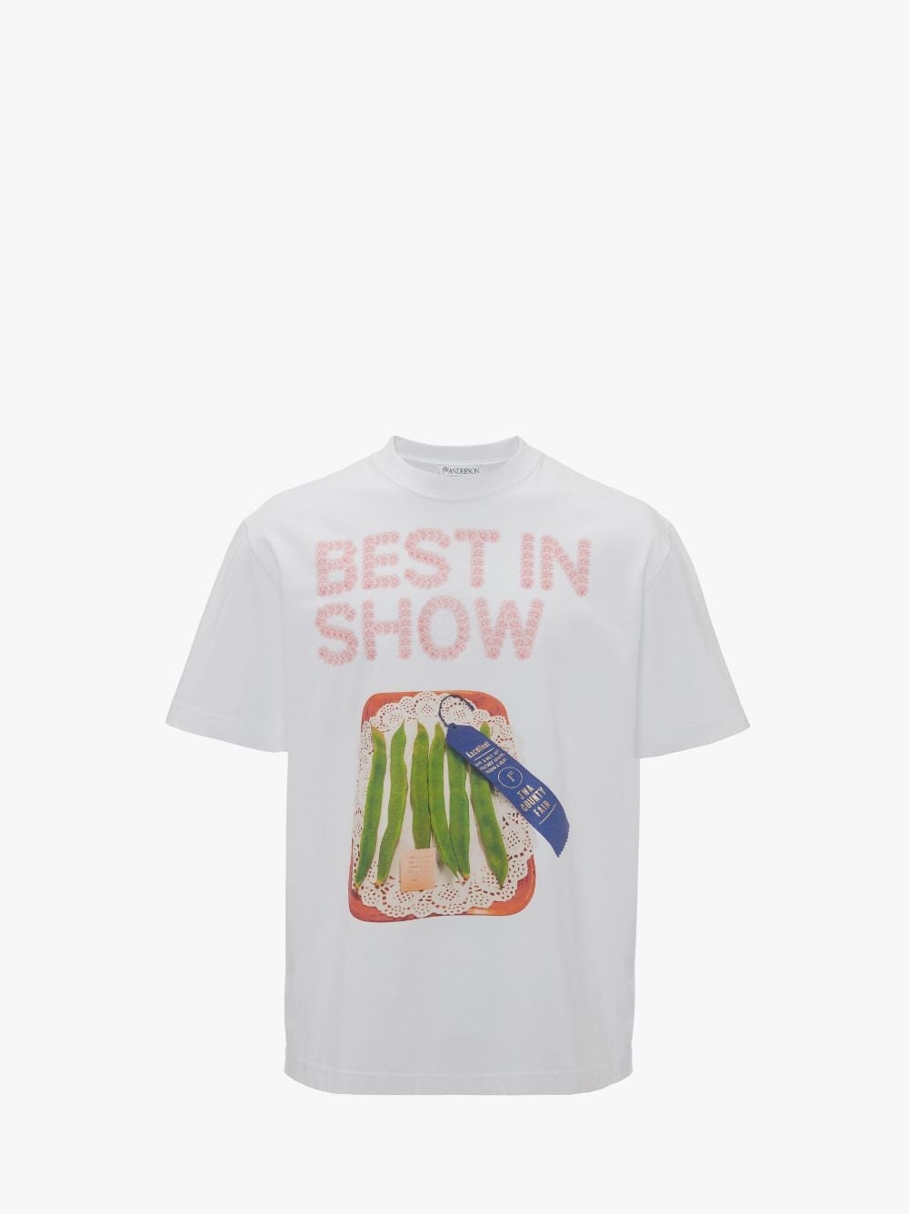 BEST IN SHOW OVERSIZED T-SHIRT - 1